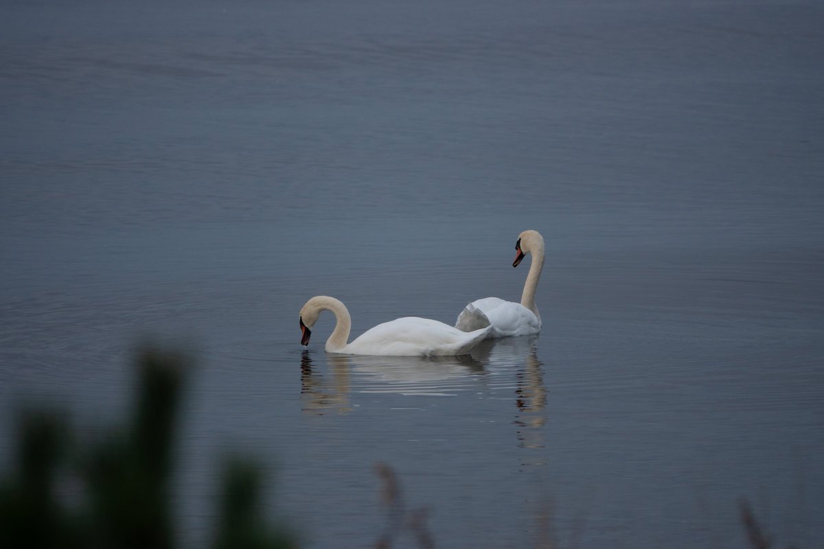 DSC05770_Small
