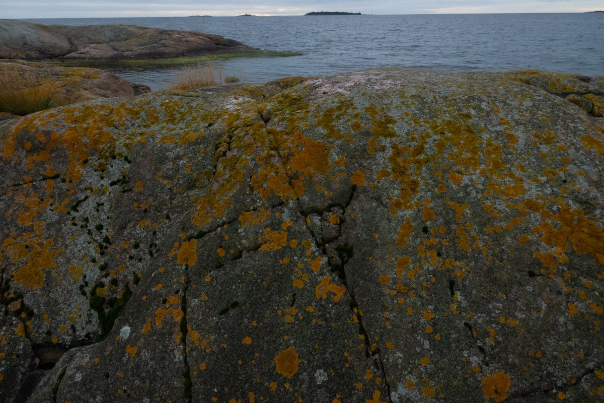 DSC06223_Small