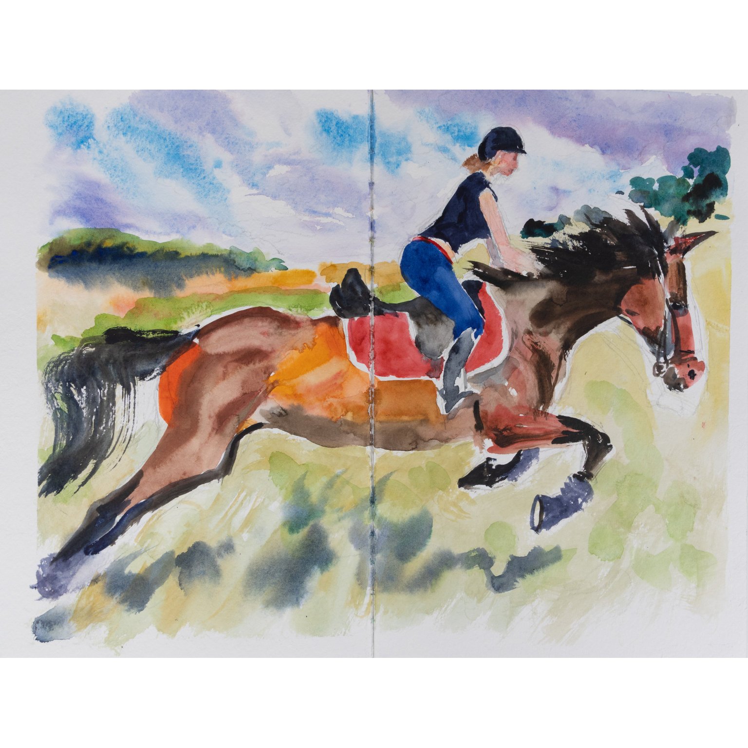 Type-C paper has absorbent paper which gives soft transitions, ideal for alla prima and wet-on-wet techniques