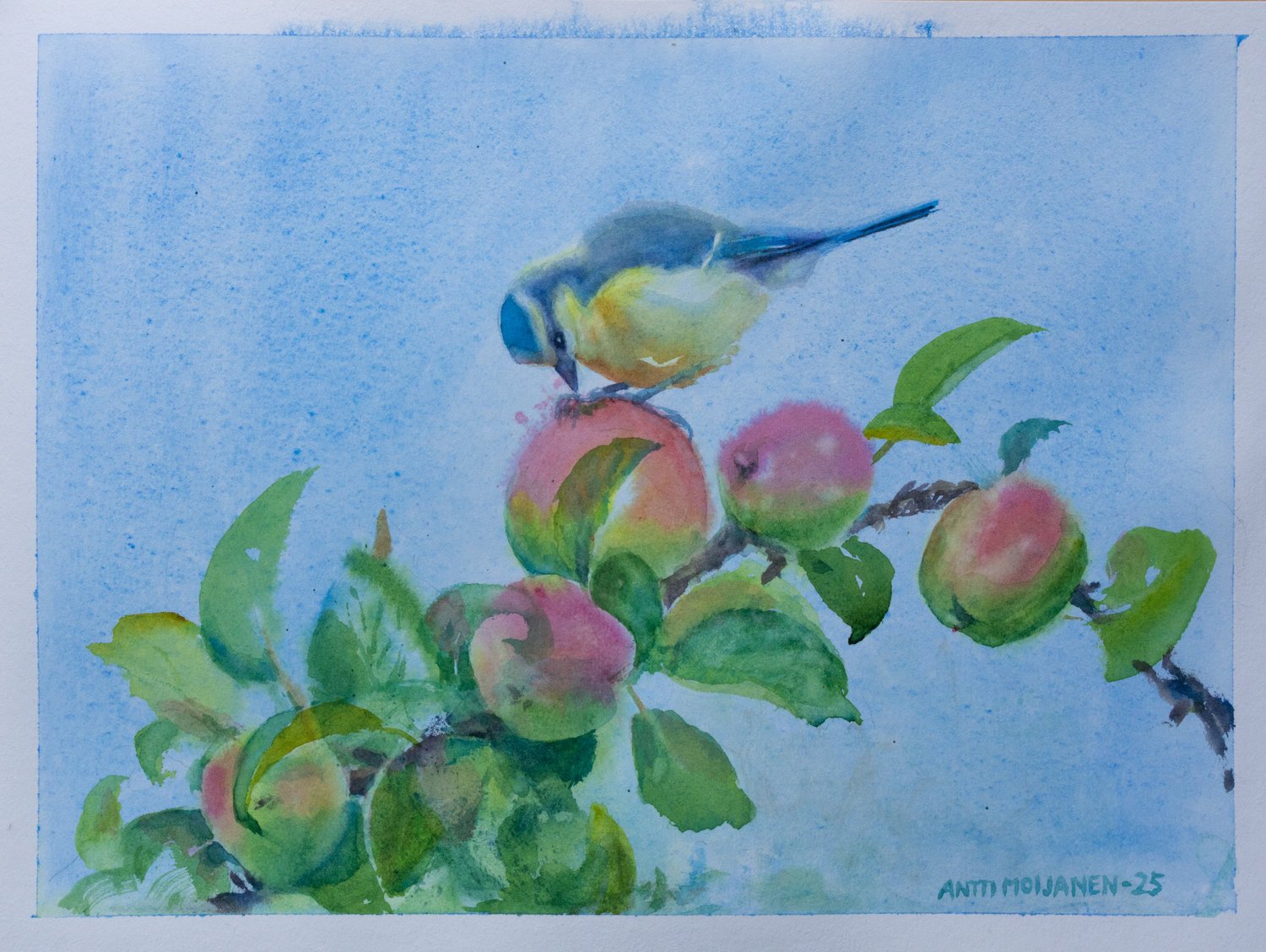 Watercolor paper Pleinly HP Type L