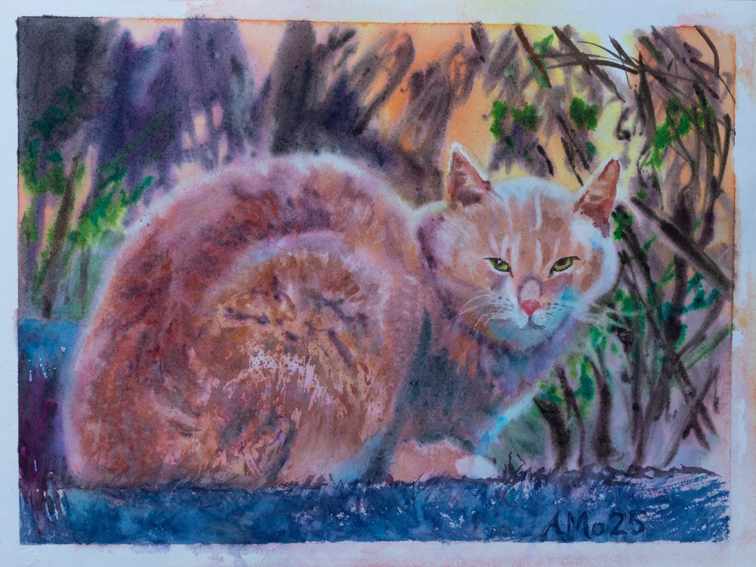 Pleinly Watercolor papers 100% cotton Hot Press