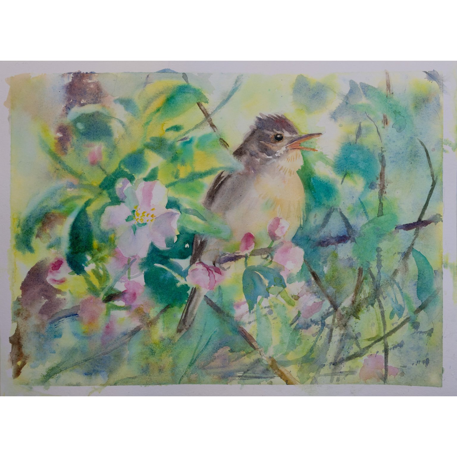 Type-C paper has absorbent paper which gives soft transitions, ideal for alla prima and wet-on-wet techniques