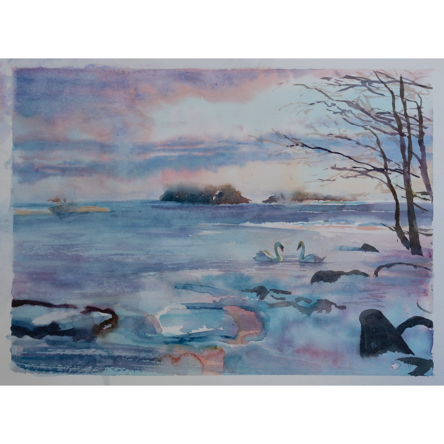 Type-C paper has absorbent paper which gives soft transitions, ideal for alla prima and wet-on-wet techniques