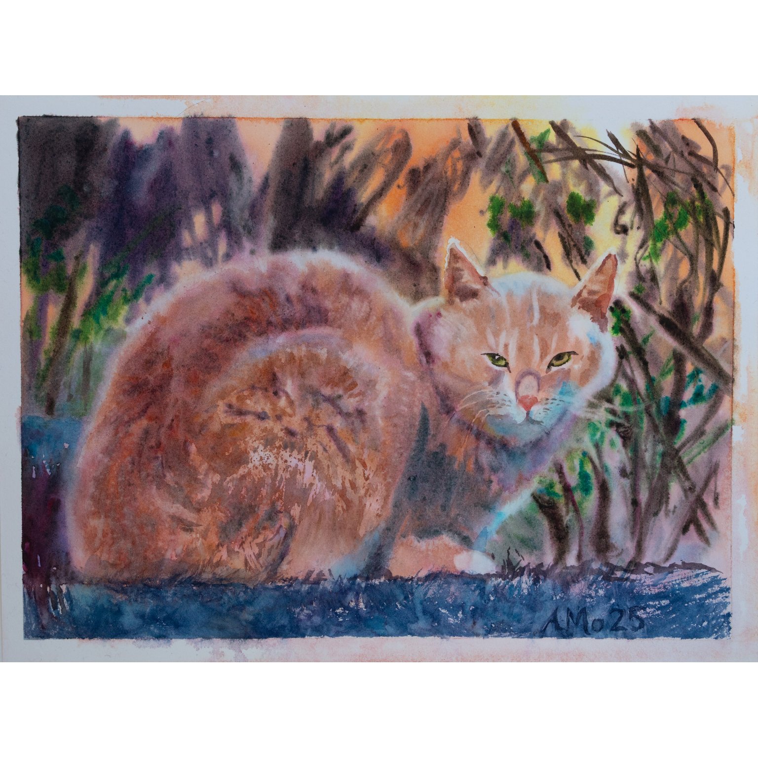 Pleinly Watercolor Paper 100% Cotton Hot Press