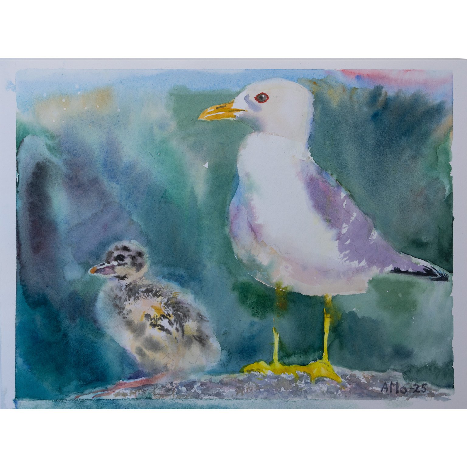 Pleinly Watercolor papers 100% cotton Hot Press