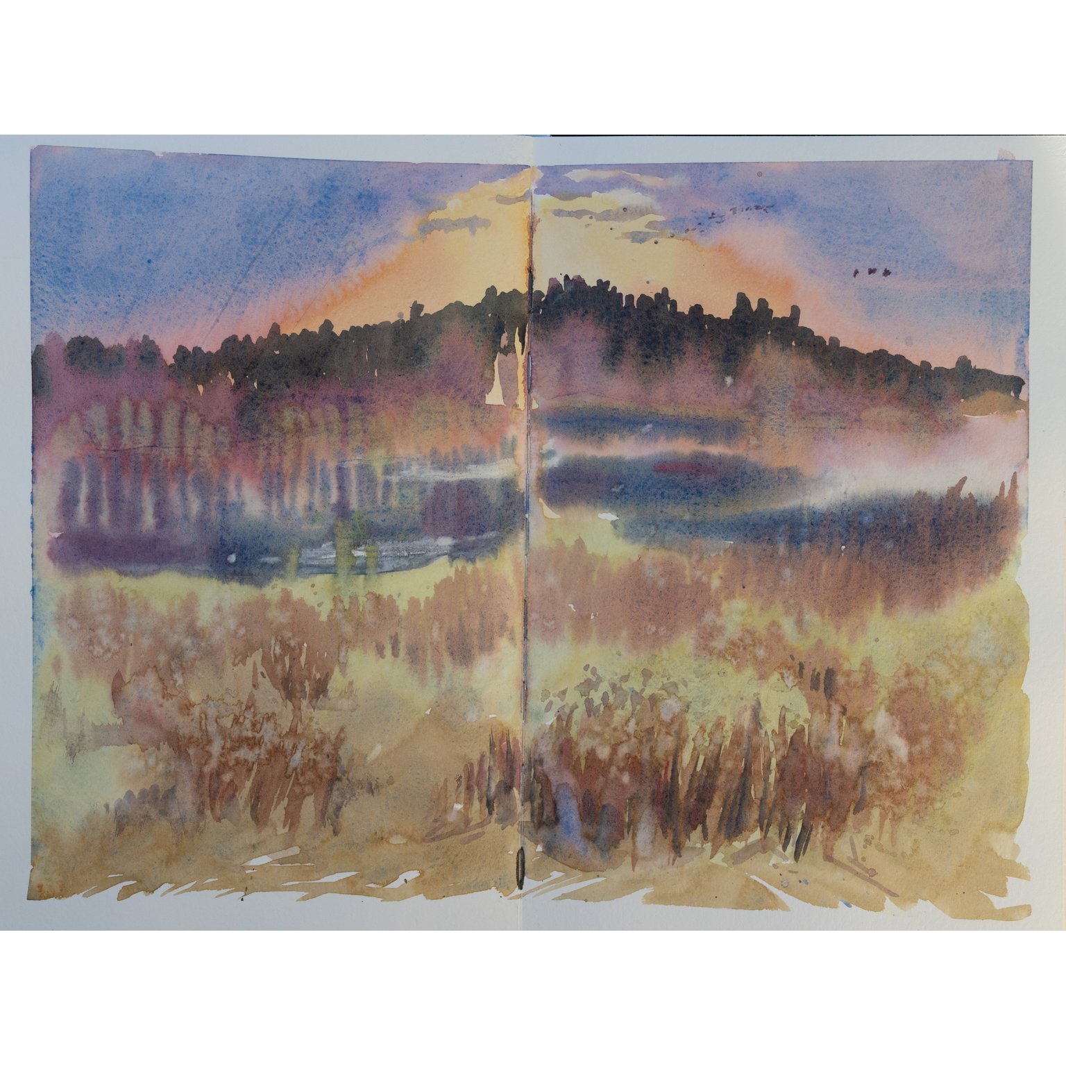 R07_6876-1536px_square