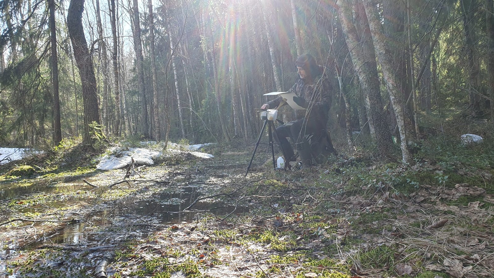 Plein air painting image gallery